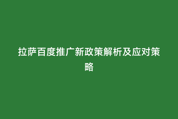 拉萨百度推广新政策解析及应对策略