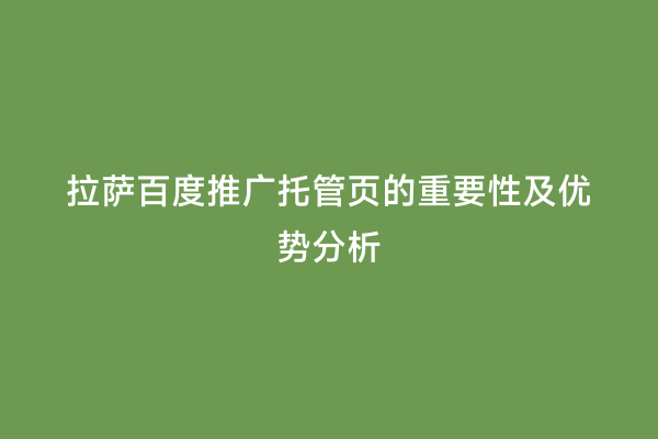 拉萨百度推广托管页的重要性及优势分析