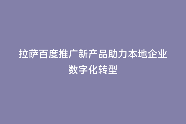 拉萨百度推广新产品助力本地企业数字化转型