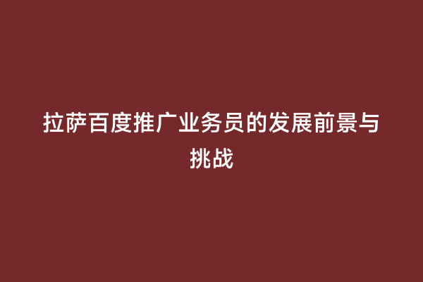 拉萨百度推广业务员的发展前景与挑战