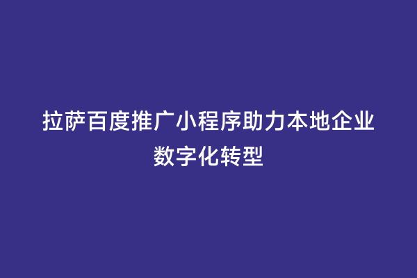 拉萨百度推广小程序助力本地企业数字化转型
