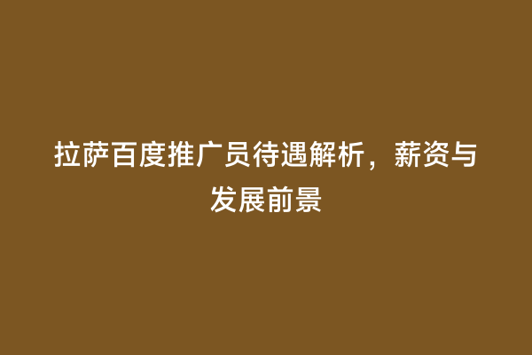 拉萨百度推广员待遇解析，薪资与发展前景