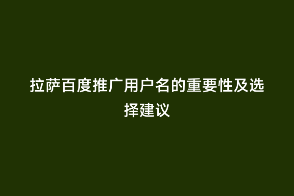 拉萨百度推广用户名的重要性及选择建议