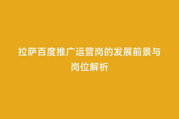 拉萨百度推广运营岗的发展前景与岗位解析