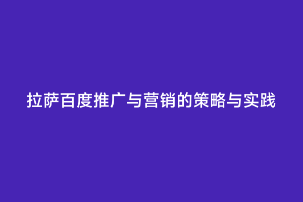 拉萨百度推广与营销的策略与实践