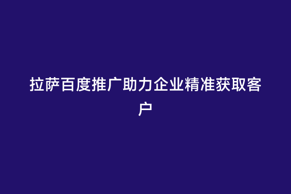 拉萨百度推广助力企业精准获取客户