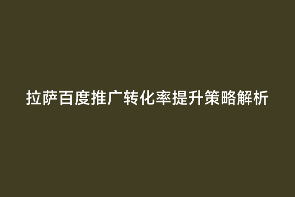 拉萨百度推广转化率提升策略解析
