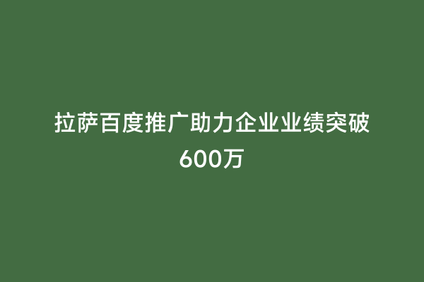 拉萨百度推广助力企业业绩突破600万