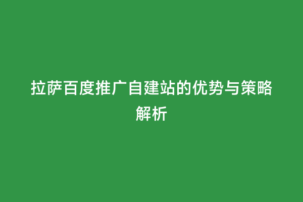 拉萨百度推广自建站的优势与策略解析