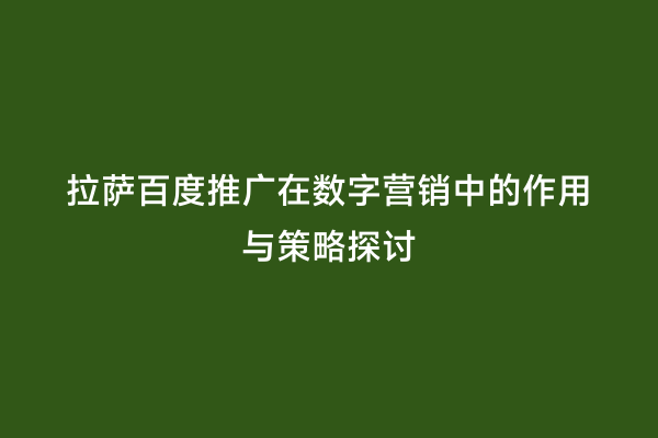 拉萨百度推广在数字营销中的作用与策略探讨
