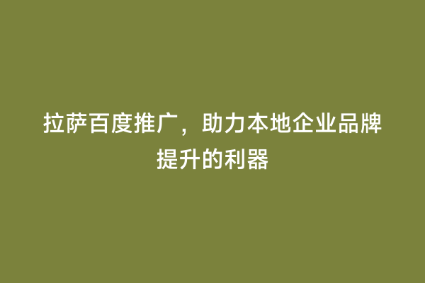 拉萨百度推广，助力本地企业品牌提升的利器