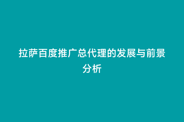 拉萨百度推广总代理的发展与前景分析