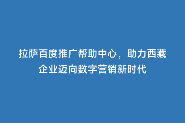 拉萨百度推广帮助中心，助力西藏企业迈向数字营销新时代