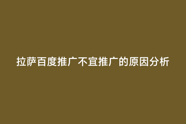 拉萨百度推广不宜推广的原因分析