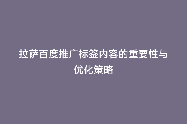 拉萨百度推广标签内容的重要性与优化策略