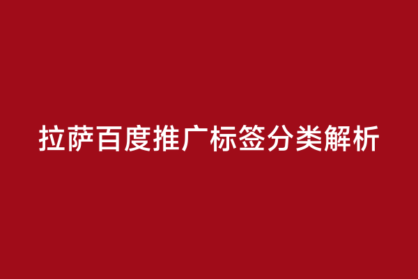 拉萨百度推广标签分类解析