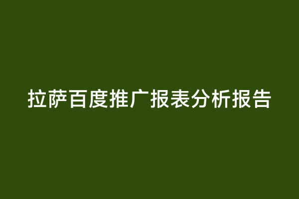拉萨百度推广报表分析报告