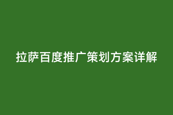 拉萨百度推广策划方案详解