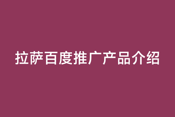 拉萨百度推广产品介绍