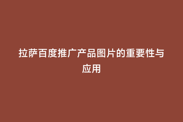 拉萨百度推广产品图片的重要性与应用