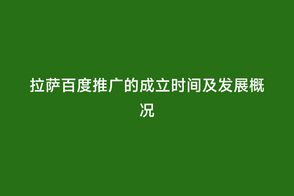 拉萨百度推广的成立时间及发展概况