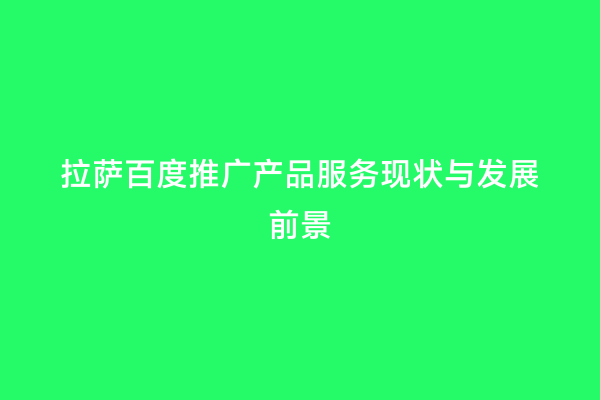 拉萨百度推广产品服务现状与发展前景