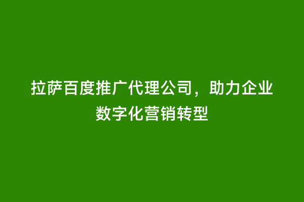 拉萨百度推广代理公司，助力企业数字化营销转型