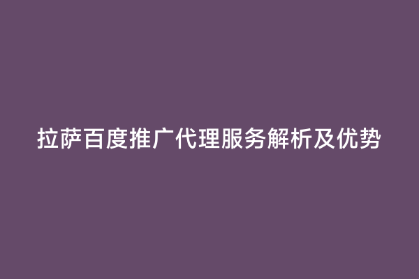 拉萨百度推广代理服务解析及优势