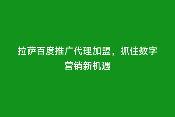 拉萨百度推广代理加盟，抓住数字营销新机遇