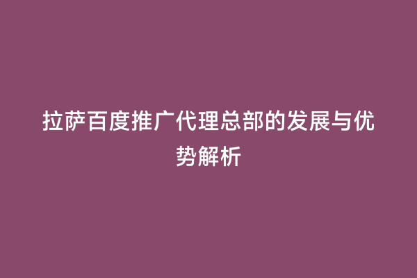 拉萨百度推广代理总部的发展与优势解析