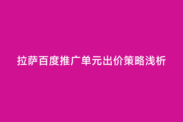 拉萨百度推广单元出价策略浅析