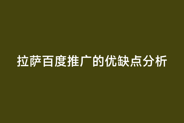 拉萨百度推广的优缺点分析