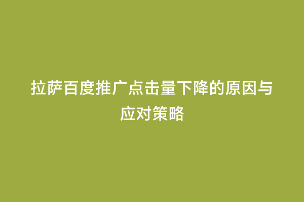 拉萨百度推广点击量下降的原因与应对策略