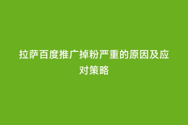 拉萨百度推广掉粉严重的原因及应对策略