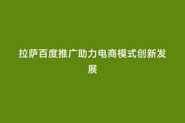 拉萨百度推广助力电商模式创新发展