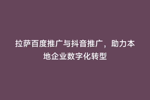拉萨百度推广与抖音推广，助力本地企业数字化转型