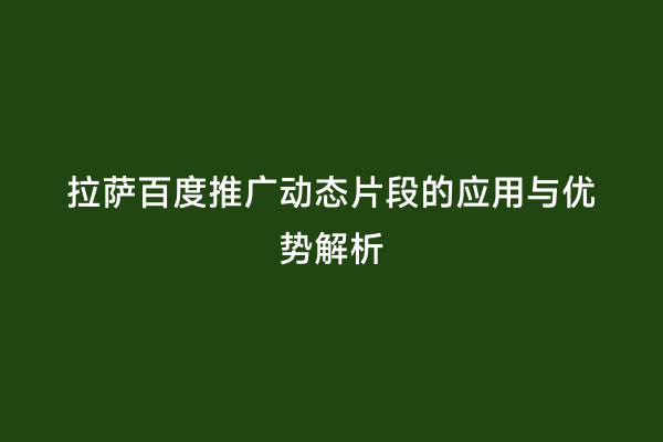 拉萨百度推广动态片段的应用与优势解析