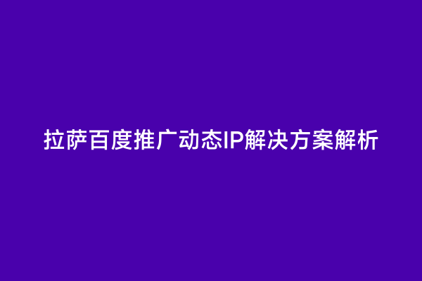 拉萨百度推广动态IP解决方案解析
