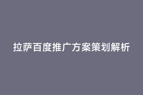 拉萨百度推广方案策划解析