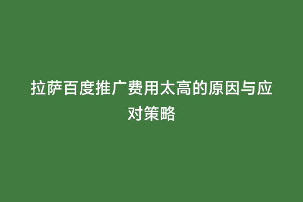 拉萨百度推广费用太高的原因与应对策略