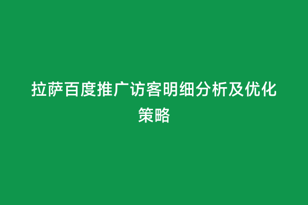 拉萨百度推广访客明细分析及优化策略