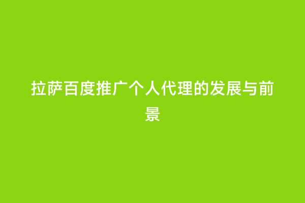 拉萨百度推广个人代理的发展与前景