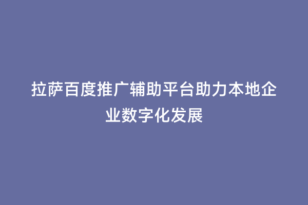 拉萨百度推广辅助平台助力本地企业数字化发展