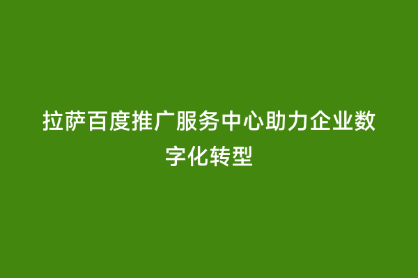 拉萨百度推广服务中心助力企业数字化转型