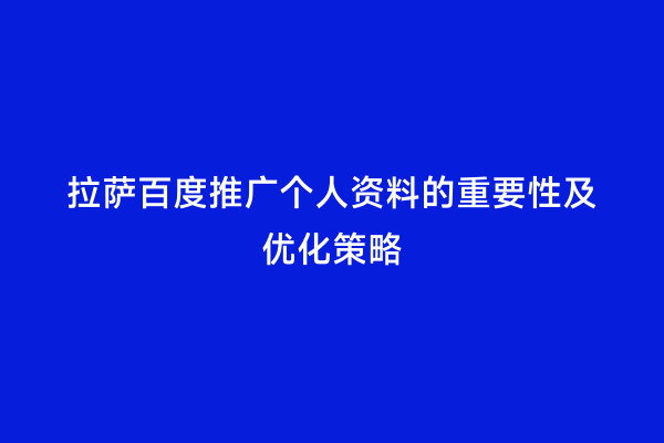 拉萨百度推广个人资料的重要性及优化策略