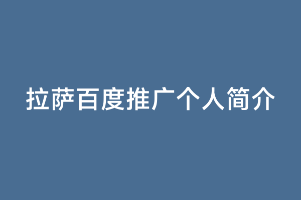 拉萨百度推广个人简介