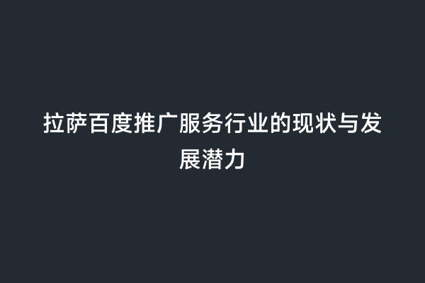 拉萨百度推广服务行业的现状与发展潜力