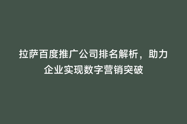 拉萨百度推广公司排名解析，助力企业实现数字营销突破