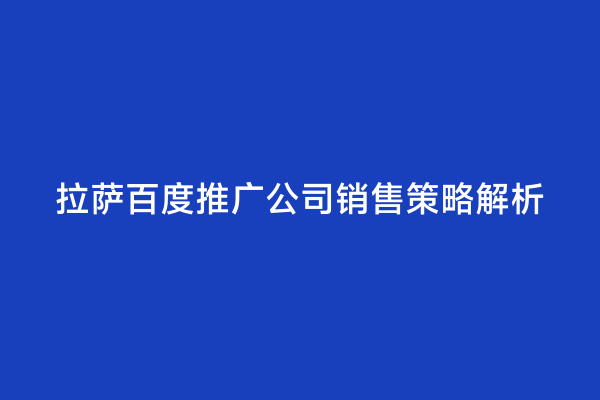 拉萨百度推广公司销售策略解析