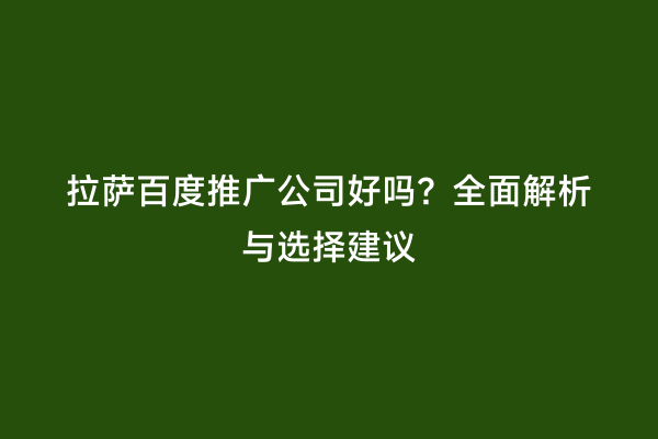 拉萨百度推广公司好吗？全面解析与选择建议